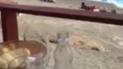 Туристы сняли на видео деятельность контрабандистов