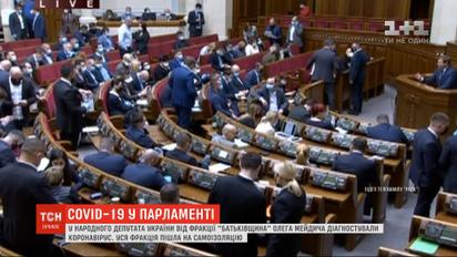 Фракции "Батькивщина" пошла на самоизоляцию из-за коронавируса у депутата