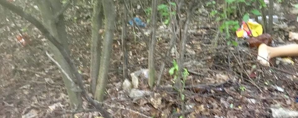 Згвалтування дівчинки на донеччині_3