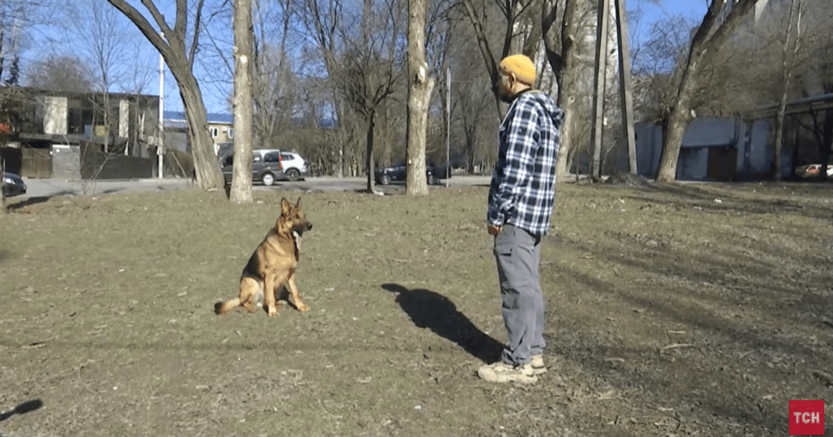 Пес Ральф