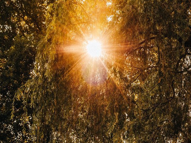 Народні прикмети 27 липня / © pexels.com