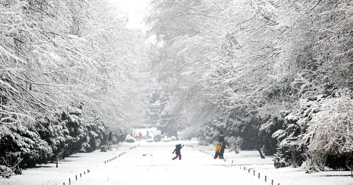 Народні прикмети сьогодні 3 лютого - народні звичаї і обряди сьогоднішнього дня