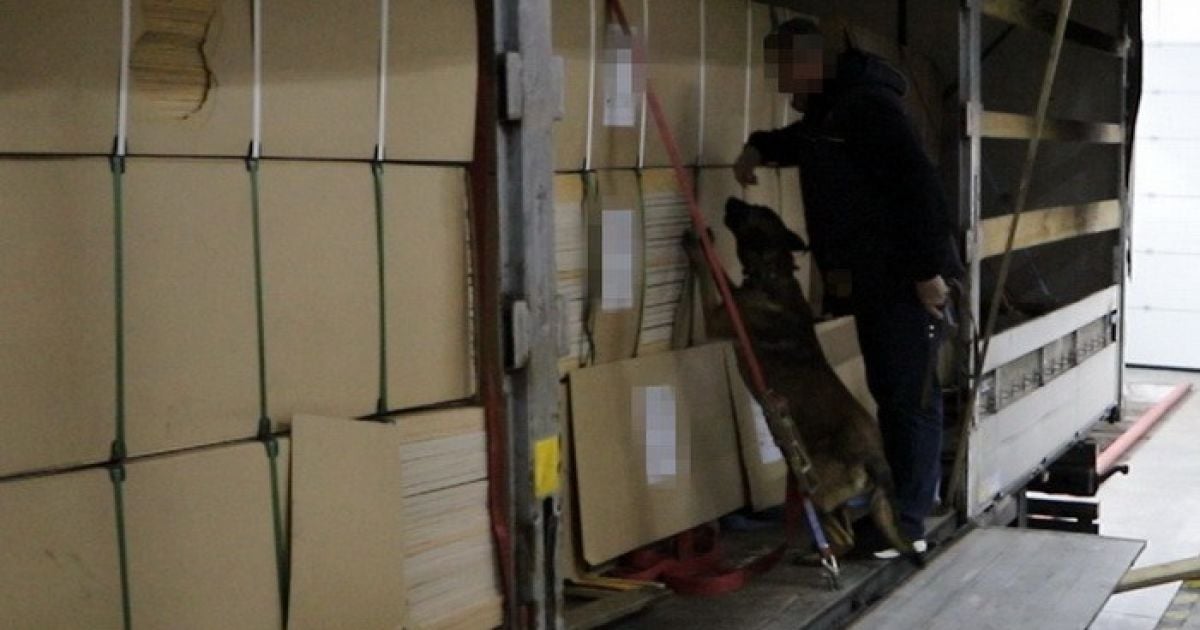 СБУ предотвратила контрабанду почти 400 килограммов героина в Европу