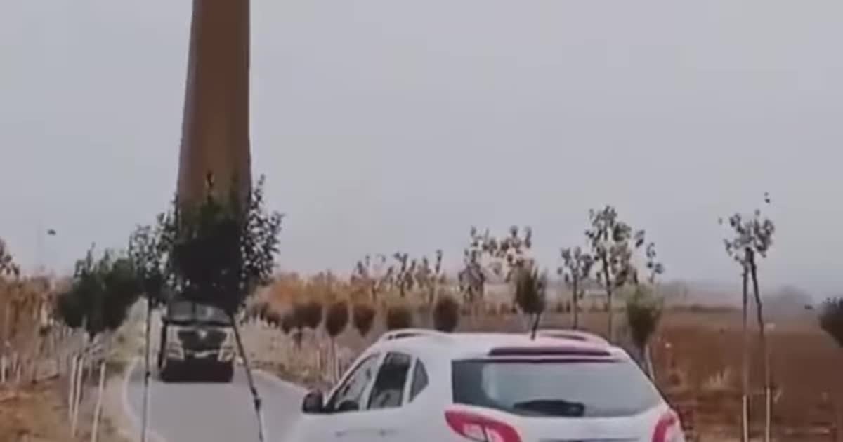 "Она падает". Видео перевозки гигантской лопасти ветряка напугало Сеть