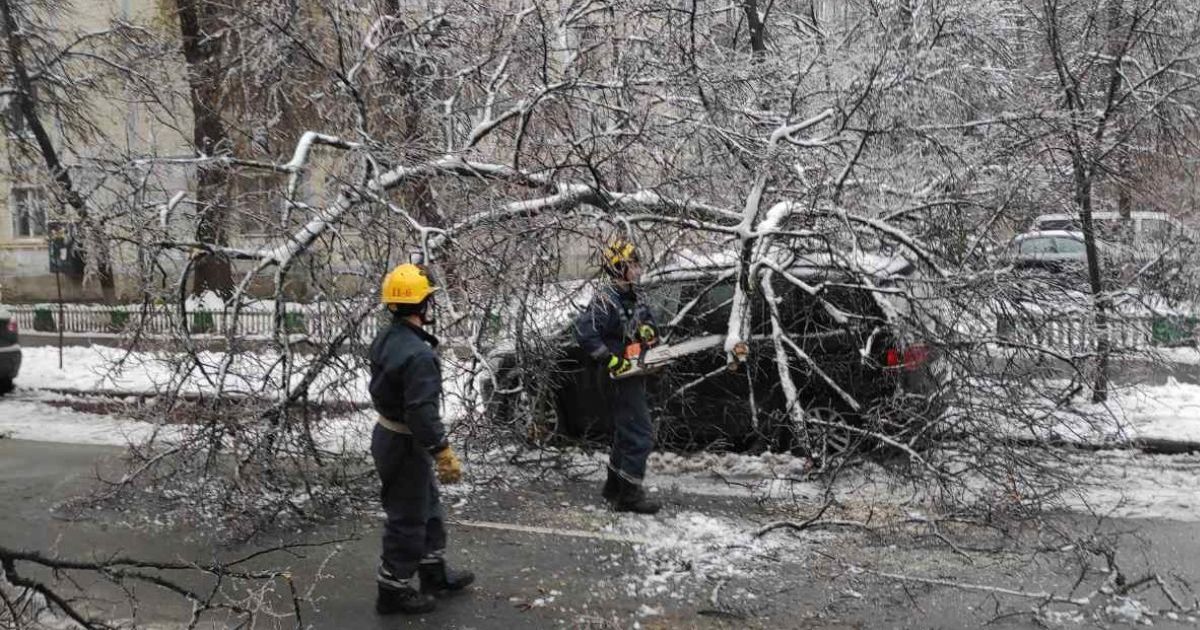 У Києві через негоду зламано 120 дерев: деякі з них впали на автівки, трамвайні колії та ЛЕП