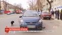 В Днепре неравнодушные задержали водителя, который сбил женщину на зебре и пытался скрыться
