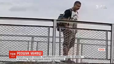 В Херсоне разыскивают мужчину, который отравил собак в приюте