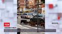 Новости мира: в центре Рима периодически появляется стадо диких кабанов