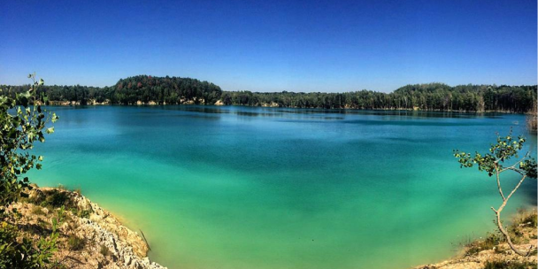  / © www.instagram.com/__dandelion__wine__