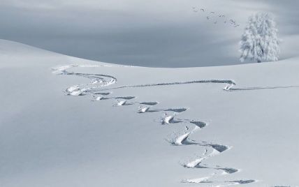 У Карпатах насипало до 10 сантиметрів снігу (фото)