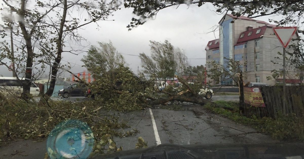 На Сахалине бушует непогода / © sakhalin.info