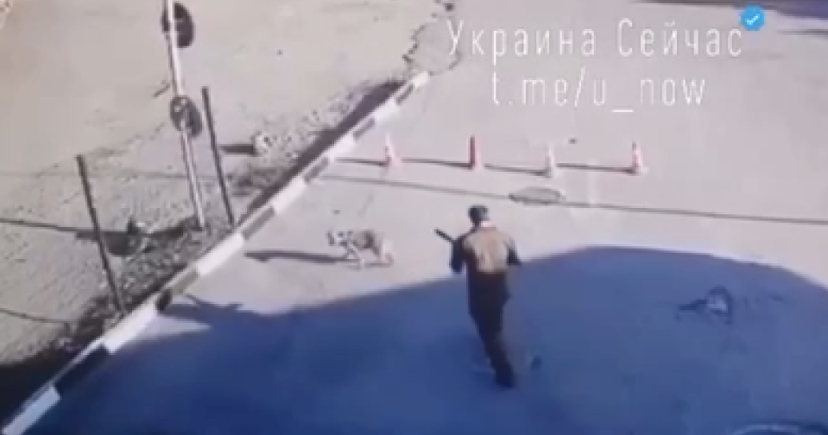 Расстрел собаки военным на заправке в Днепре: полиция открыла уголовное производство