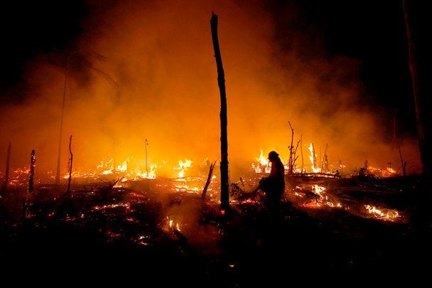 В Испании бушуют масштабные лесные пожары / © Associated Press