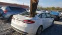 На відомому аукціоні продають Ford Fusion, із якого стирчить стовбур сосни
