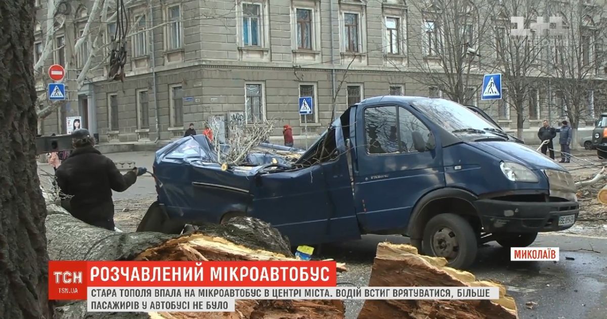 В Николаеве тополь раздавил микроавтобус. Водитель успел выскочить из автомобиля