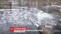 Река под Винницей превратилась в черную смесь с химической пеной