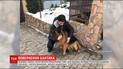 Счастливое возвращение Бантика. Похищенного в новогоднюю ночь собаку нашли
