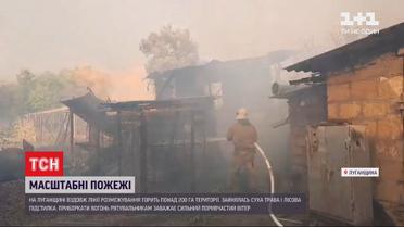 Одна людина загинула, ще двох бійців шпиталізували - наслідки пожежі у Луганській області