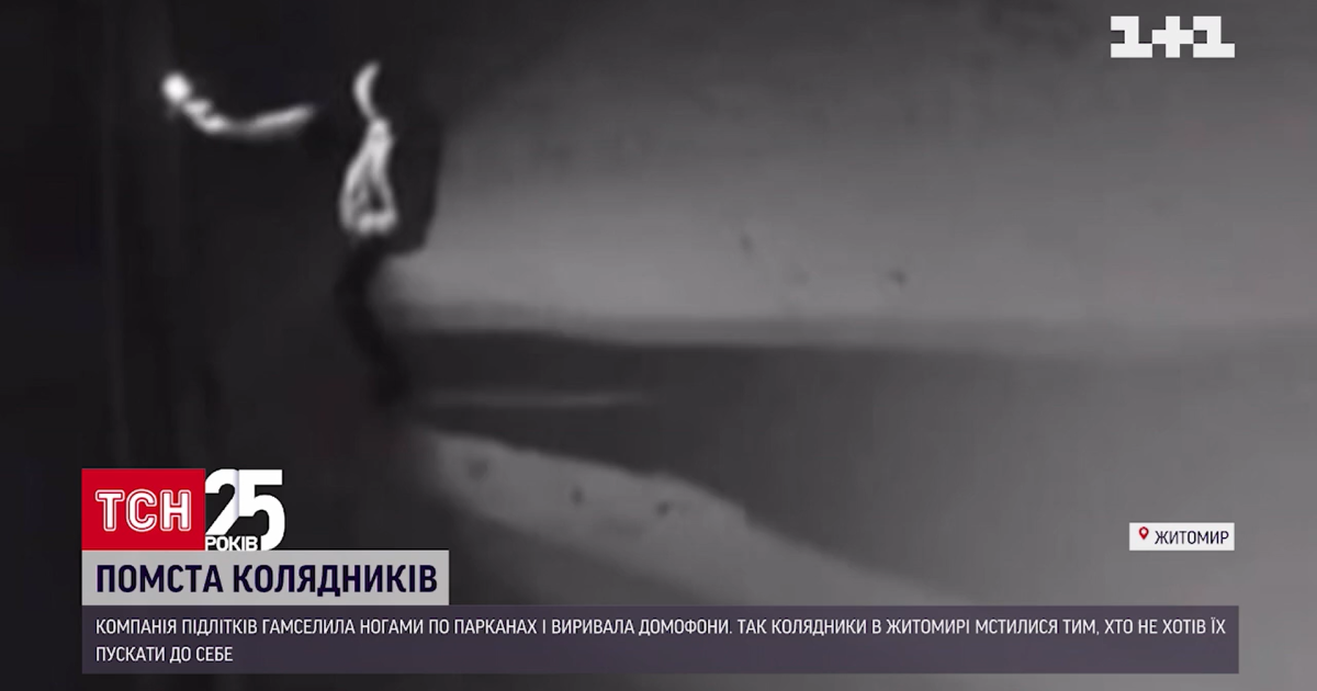 Крушили забор и вырвали домофон: в Житомире несовершеннолетние отомстили хозяевам, потому что те не пустили их поколядовать