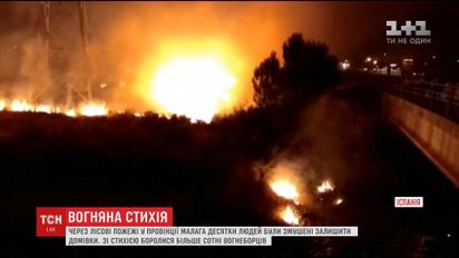 Десятки людей эвакуировали в испанской провинции Малага из-за лесного пожара