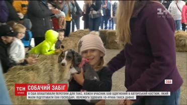 Особые собачьи бега. В США устроили забег исключительно для такс