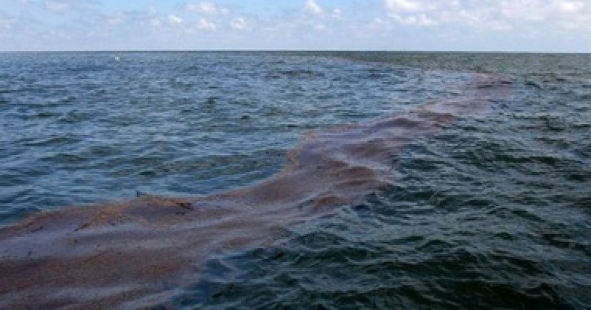 Нефтяное пятно распространилось на площади 11,7 тыс кв метров.