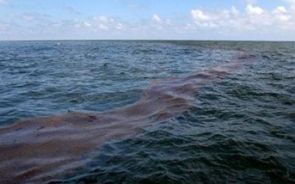 Возле Мариуполя из турецкого судна в море разлилась нефть