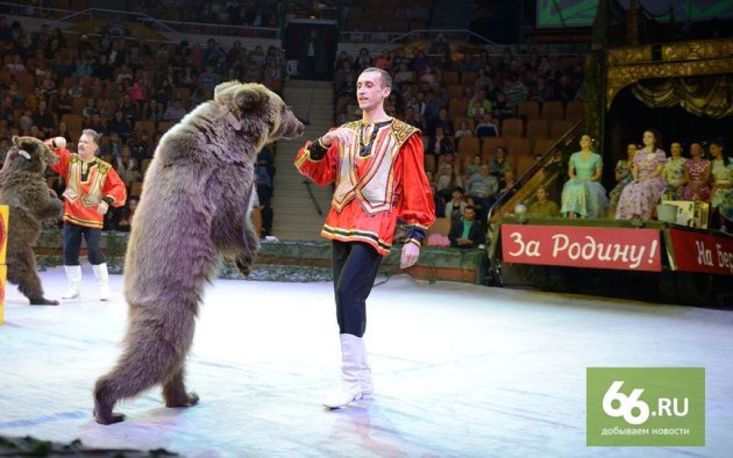 Вистава цирку Єкатеринбурга / © dfdaily.com