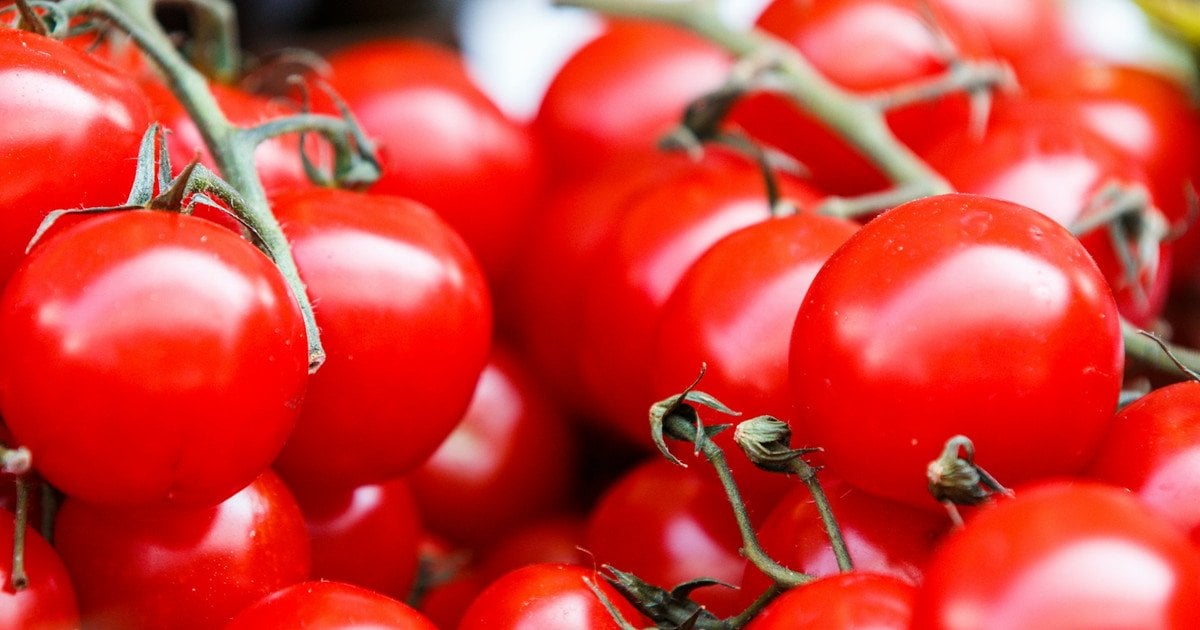 Ціни на помідори