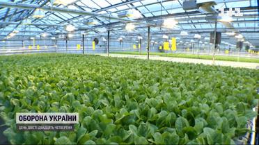 Уряд роздає гроші, які можна не повертати: на що можна витратити та як їх отримати
