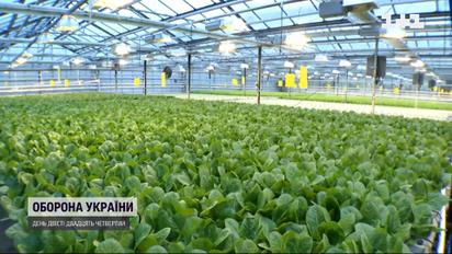 Уряд роздає гроші, які можна не повертати: на що можна витратити та як їх отримати