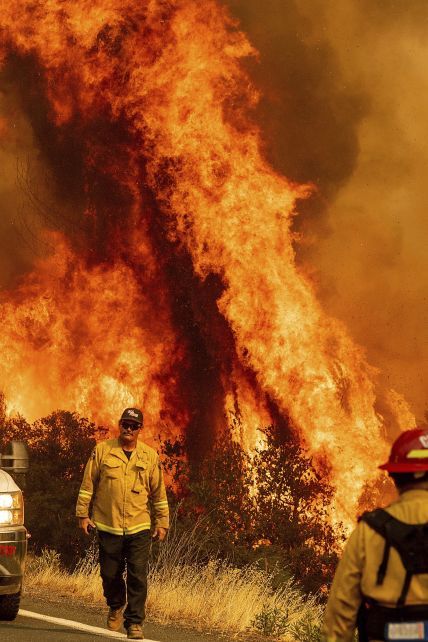 Начинаются от ударов молний: что известно о пожарах в Калифорнии, которые могут стать самыми масштабными в истории
