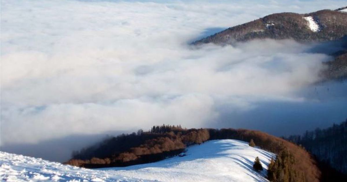 Фото: Українські Карпати