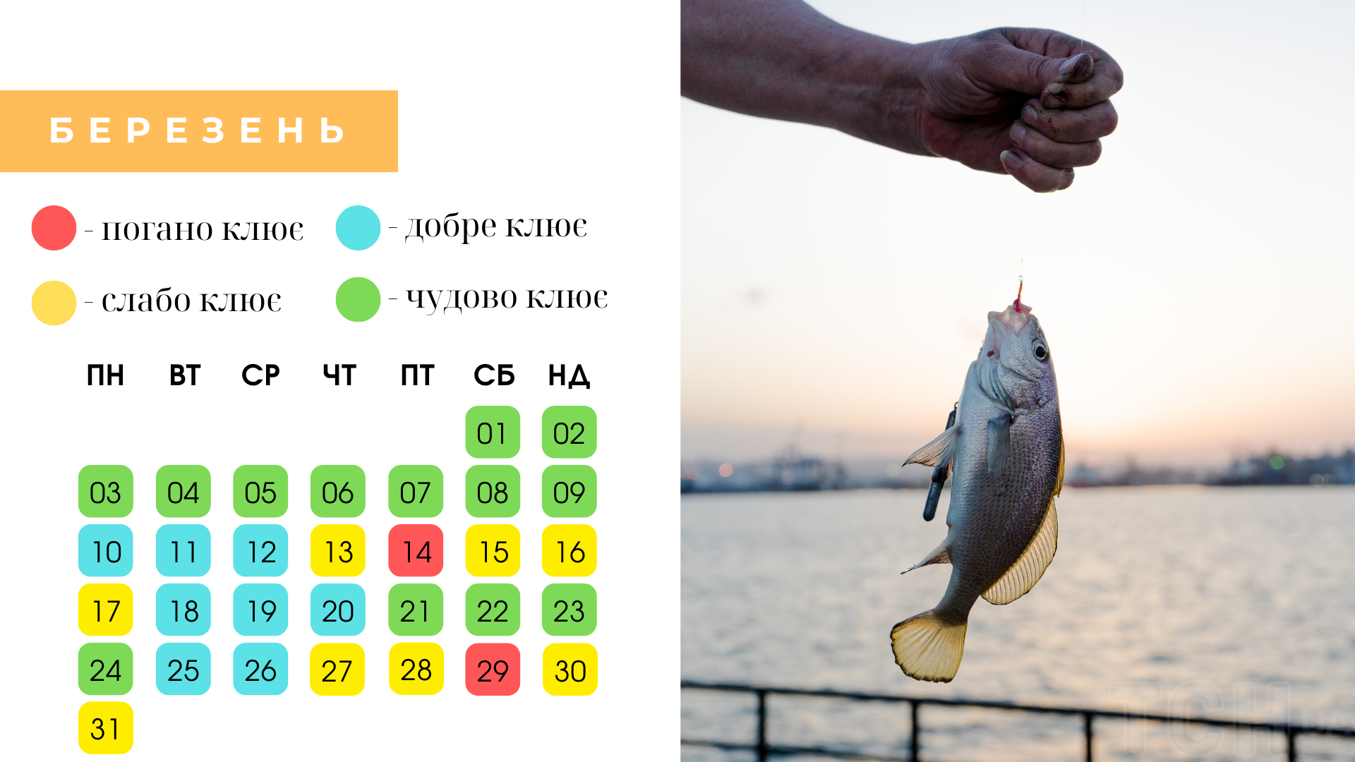 Місячний календар рибалки на березень 2025 за днями / © ТСН.ua