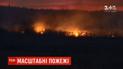 Під Києвом палають поля, вогонь підходить до житлових будинків