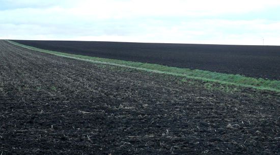 У російських магазинах почали продавати вкрадений в Україні чорнозем (фото)