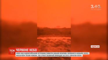 Небо над индонезийским островом Суматра стало ярко-красным из-за масштабных лесных пожаров