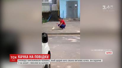 Харьковчане заметили мужчину, который на поводке выгуливал утку