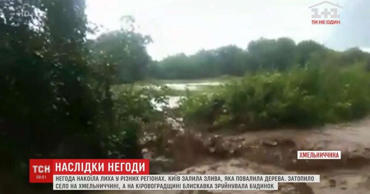 У Хмельницькій області сильна злива знищила городину та замулила будинки