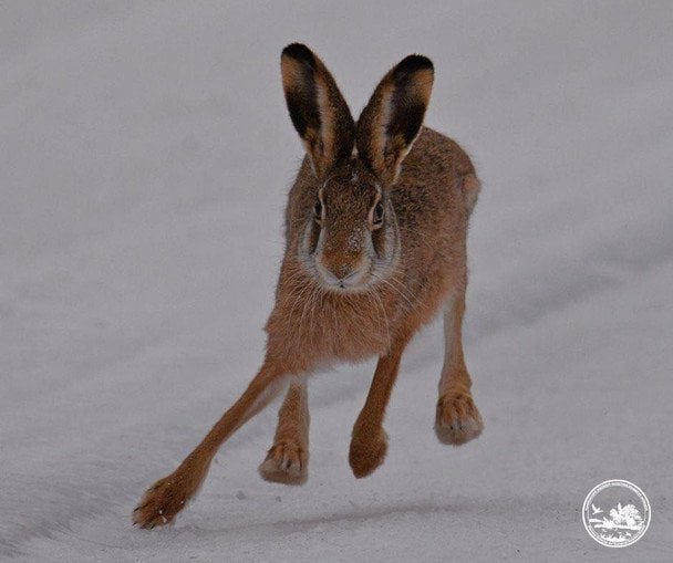  / © Чорнобильський радіаційно-екологічний біосферний заповідник