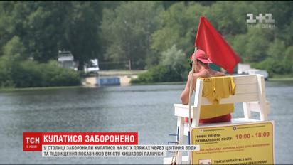 На пляжах Киева запретили купаться из-за цветения воды и повышения содержания кишечной палочки