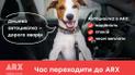 Дешева Автоцивілка — дорога аварія. Як правильно обрати страховку для авто