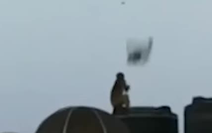 Нудьгує на карантині: в Індії зняли на відео мавпу із повітряним змієм на даху