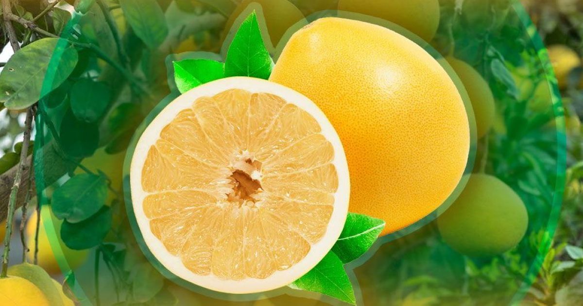 Чому помело варто додати до зимового раціону