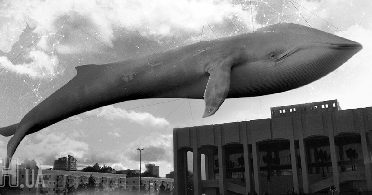 Синие киты: киберполиция нашла почти 1000 "групп смерти" и предупредила более 10 попыток суицида