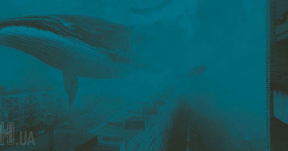 "Синие киты": в Нацполиции рассказали, какая категория подростков является наиболее уязвимой для "групп смерти"