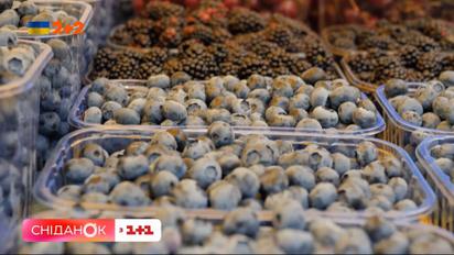 Які зараз ціни на ягоди та що буде далі