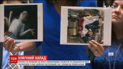 Международные эксперты подтвердили факт химической атаки на сирийский город