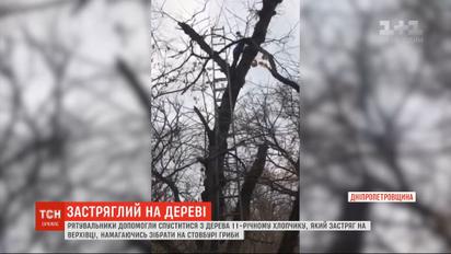 Собирал на стволе грибы: юношу в Днепропетровской области спасатели снимали с дерева