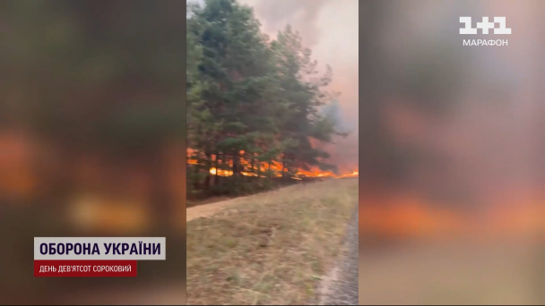 Лесные пожары в Полтавской области